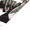 Zvi Hecker